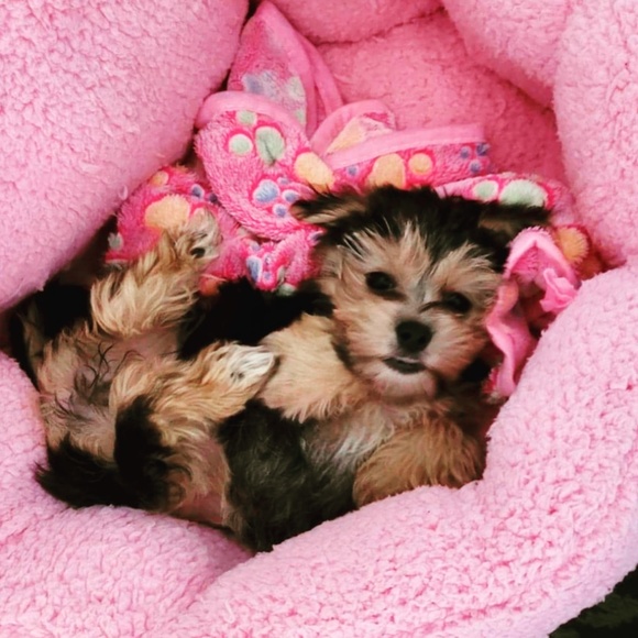 Meet your Posher, Kim K 🩶 - Picture 2 of 3